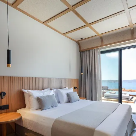 Boutique Dionysos Villa *